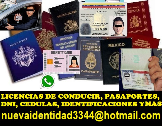 Licencias de conducir DNI pasaportes